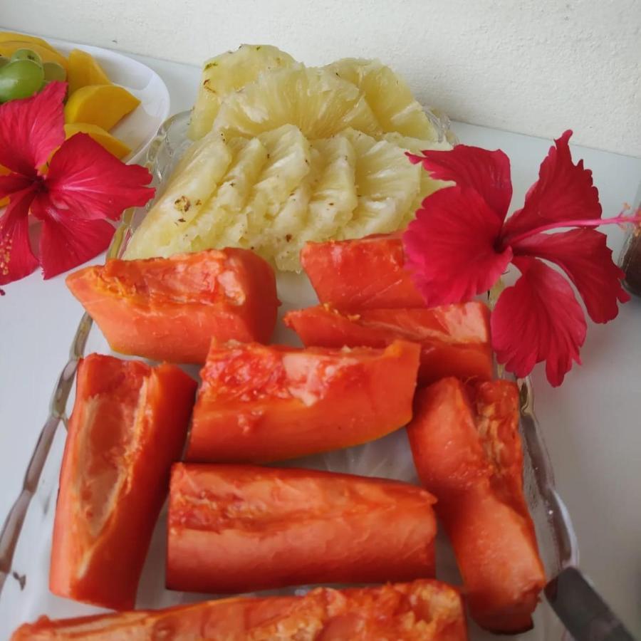 Pousada Brilho Do Sol Сао Мигел до Гостосо Екстериор снимка